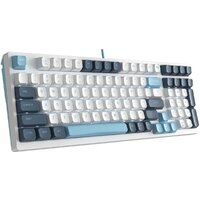 Клавиатура A4Tech Fstyler FS300 Panda Snowboarding