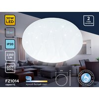 Светильник-тарелка Ambrella light FZ1014