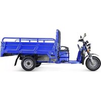 Грузовой электроскутер Rutrike Эксперт ПРО 2000