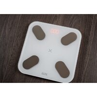 Умные напольные весы Picooc Mini Pro V2