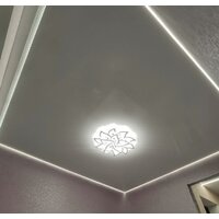 Припотолочная люстра Mirastyle Диод CF-38604/6+3 WH