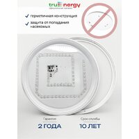 Припотолочная люстра TruEnergy 11607
