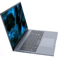 Ноутбук Digma Pro Pactos DN16R5-ADXW04