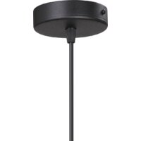 Подвесная люстра Vitaluce V4923-1/1S