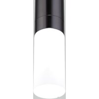 Подвесная люстра Евросвет 50210/1 LED (черный жемчуг)