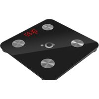 Умные напольные весы ACME SC101 (черный)