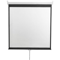 Проекционный экран Digis Optimal-D 248x189 DSOD-4304