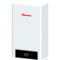 Отопительный котел Thermex Quantum E915
