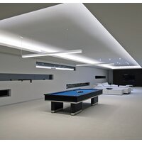 Светильник Elektrostandard 101-200-40-103 6500K (матовое серебро)
