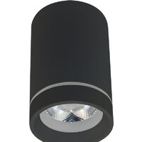 Точечный светильник Aployt Edda APL.0054.19.10