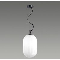Подвесная люстра Odeon Light Roofi 4751/1