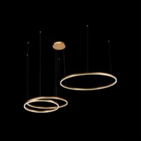 Подвесная люстра LOFT IT Ring 10017/3S