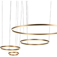 Подвесная люстра LOFT IT Ring 10017/4M