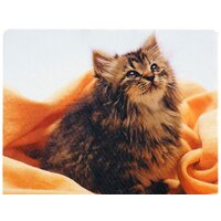Коврик для мыши Defender Silk (50706)