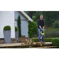 Садовая воздуходувка Ryobi RBV36B [5133002524]