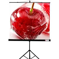 Проекционный экран ViewScreen Clamp 160x160