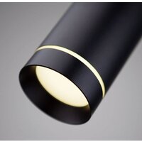 Подвесная люстра Elektrostandard DLR023 12W 4200K черный матовый 4690389119729