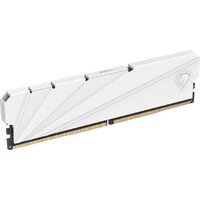 Оперативная память Netac Shadow S 8ГБ DDR4 3600 МГц NTSSD4P36SP-08W