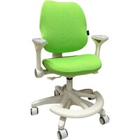 Компьютерное кресло ErgoSmart Antey с чехлом (салатовый)