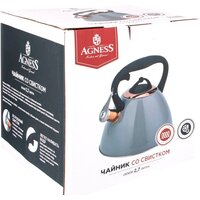 Чайник со свистком Agness Тюдор 914-151