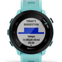Умные часы Garmin Forerunner 55 (бирюзовый)