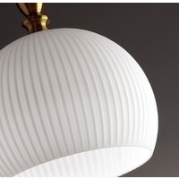 Подвесная люстра Odeon Light Runga 4767/1