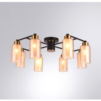 Люстра средней высоты Arte Lamp Leo A7027PL-8BK