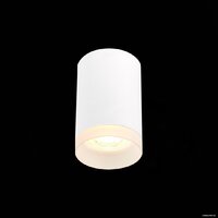Припотолочная люстра ST Luce ST100.502.01