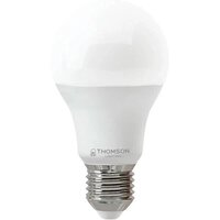 Светодиодная лампочка Thomson A65 E27 19Вт 6500 К TH-B2349