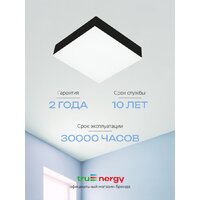 Припотолочная люстра TruEnergy 11169