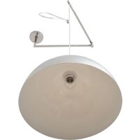 Подвесная люстра Lumion Armina 8322/1C