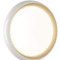 Припотолочная люстра Sonex Pale 7650/DL