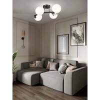 Припотолочная люстра Aitin Pro НПБ 02-4x60-101 K2318/4 (черный/хром)