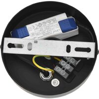 Подвесная люстра Lumion Camomile 8301/9L