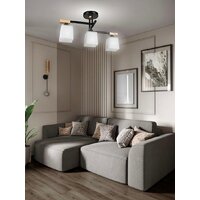 Люстра средней высоты Aitin Pro НПБ 02-3x60-101 96189/3 (черный)