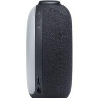 Настольные часы JBL Horizon 2 FM (черный)