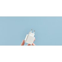 Сетевое зарядное Xiaomi Mi 33W Wall Charger AD332EU (международная версия)