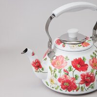 Чайник со свистком Agness Маки 916-435