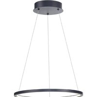 Подвесная люстра ST Luce ST603.443.22