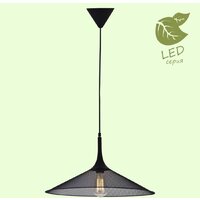 Светильник Lussole LOFT GRLSP-9813