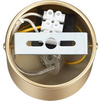 Подвесная люстра Lumion Suspentioni Toronto 6560/6