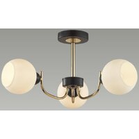 Люстра средней высоты Lumion Bliss 5642/3C