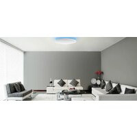 Светильник-тарелка Yeelight Arwen Ceiling Light 450C YLXD013-B