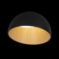 Люстра средней высоты LOFT IT Egg 10197/350 (черный)