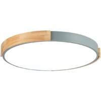 Светильник-тарелка Evoluce Delia SLE201372-01