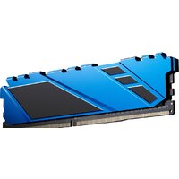 Оперативная память Netac Shadow 16ГБ DDR4 3200 МГц NTSDD4P32SP-16B