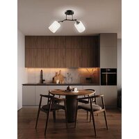 Припотолочная люстра Aitin Pro НПБ 02-2x60-101 K2316/2 (черный/хром)