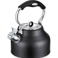 Чайник со свистком Regent Inox 93-TEA-49