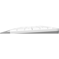 Клавиатура A4Tech Fstyler FK11 (белый/серый)