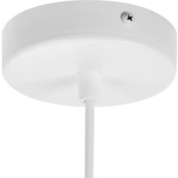 Подвесная люстра Lightstar Fabi 110716